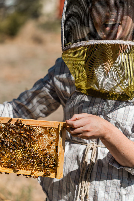 New Mexico Plains Honey
